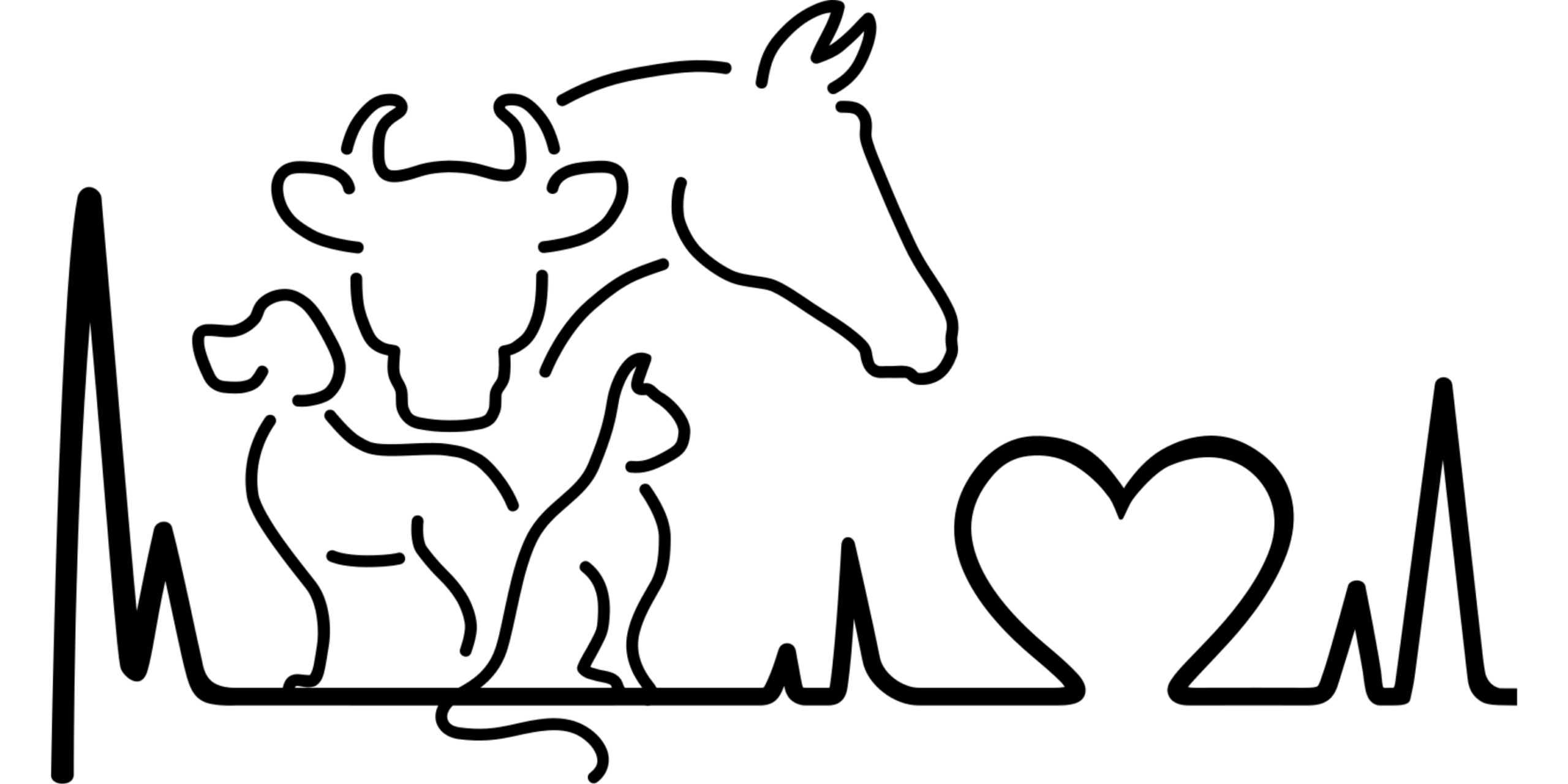 Tierhilfe Hof Samtschnute e.V.